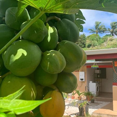 Maroe Lemon House酒店 外观 照片